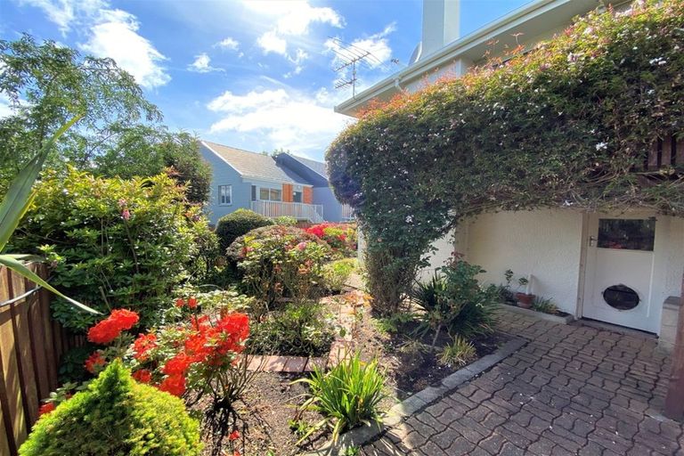 Photo of property in 227 Highgate, Roslyn, Dunedin, 9010