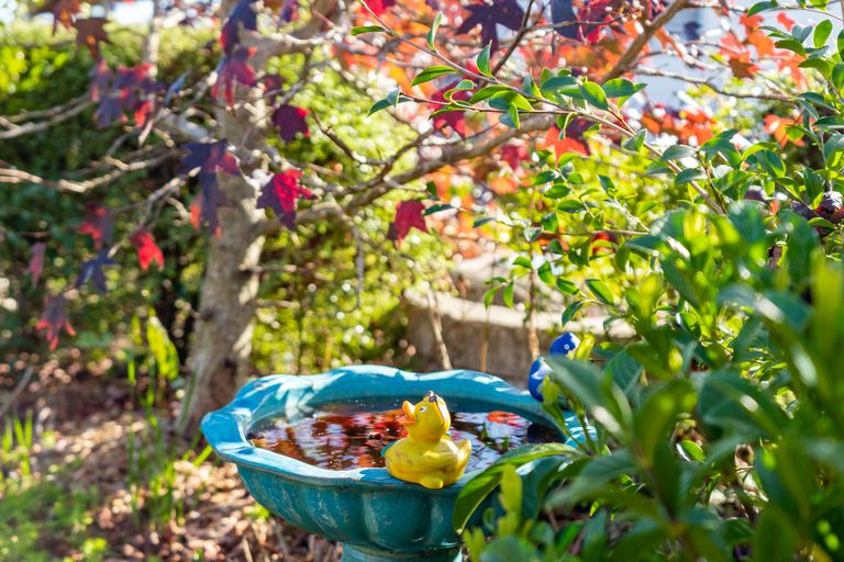 Photo of property in 9 Herons Lane, Mangawhai, 0505