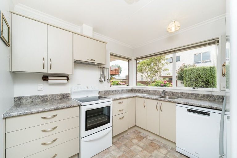 Photo of property in 45 Dittmer Drive, Awapuni, Palmerston North, 4412