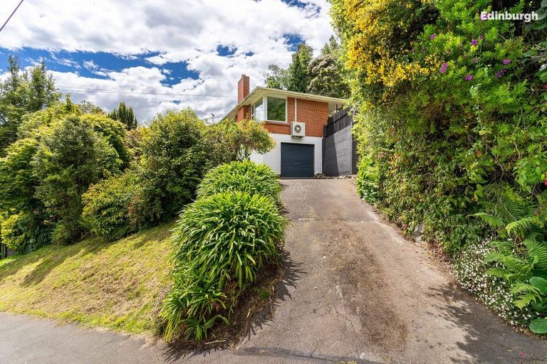 Photo of property in 41 Montague Street, North East Valley, Dunedin, 9010