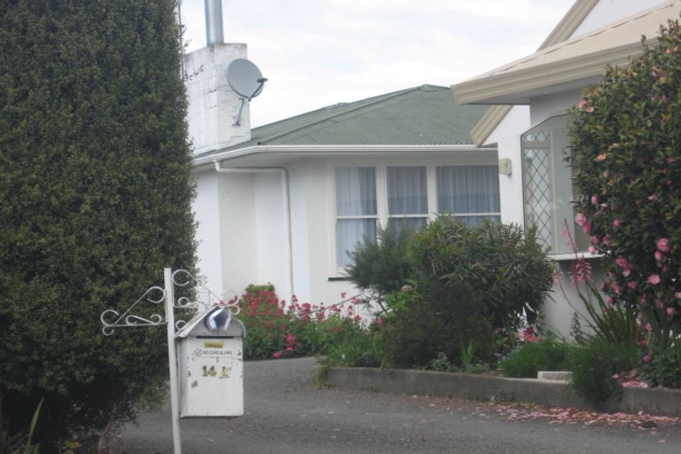 Photo of property in 14a Carvell Street, Blenheim, 7201