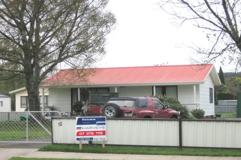 Photo of property in 12 Hurae Road, Waitahanui, Taupo, 3378