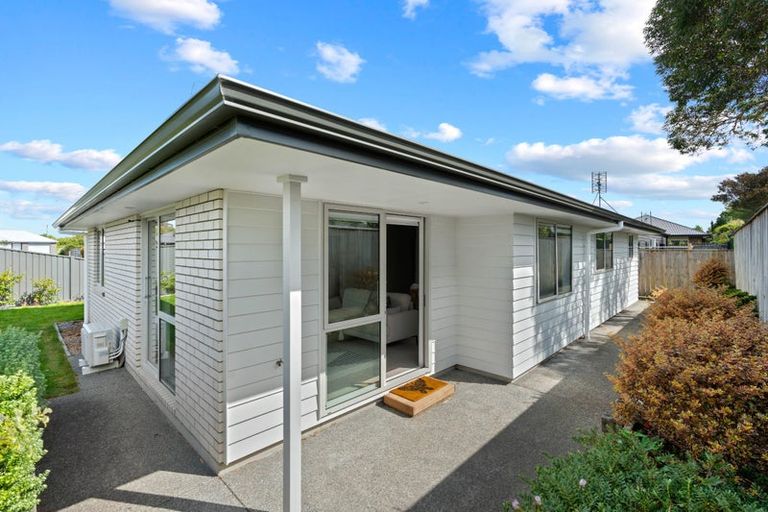 Photo of property in 10 John Mcdonald Mews, Masterton, 5810