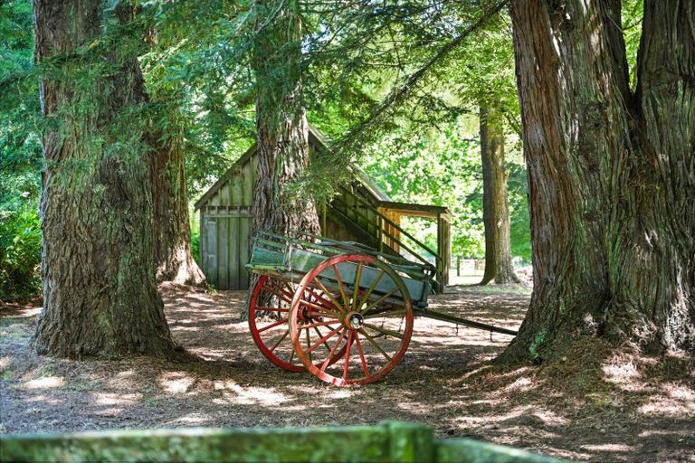 Photo of property in 781c Bruntwood Road, Tamahere, Hamilton, 3283