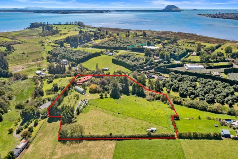 Photo of property in 100 Lochhead Road, Te Puna, Tauranga, 3176