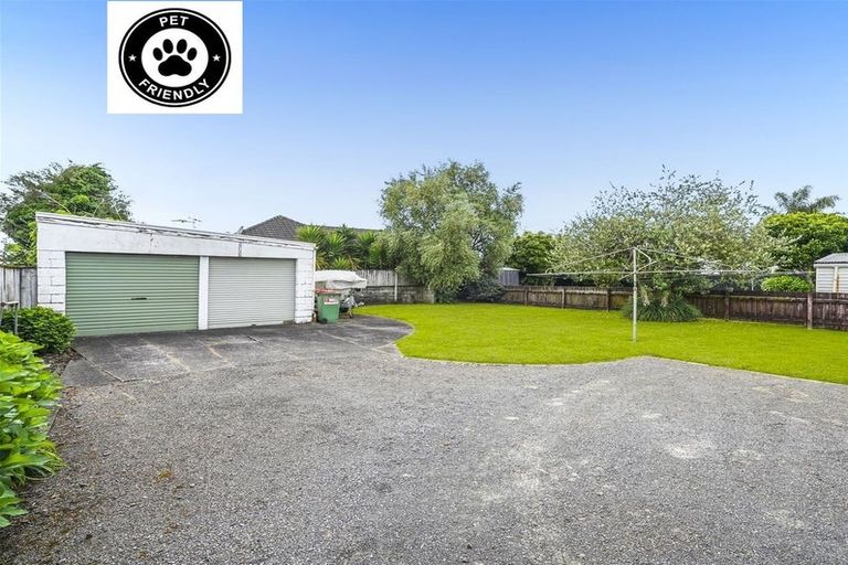 Photo of property in 46 Haultain Street, Fairfield, Hamilton, 3214
