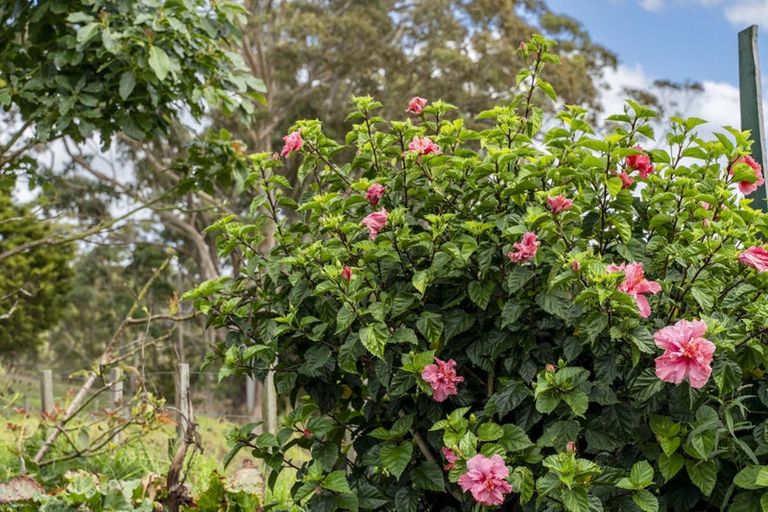 Photo of property in 135 Central Road, Mareretu, Maungaturoto, 0571