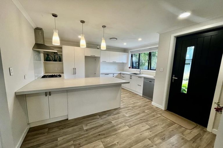 Photo of property in 1029a Waipuna Street, Mahora, Hastings, 4120