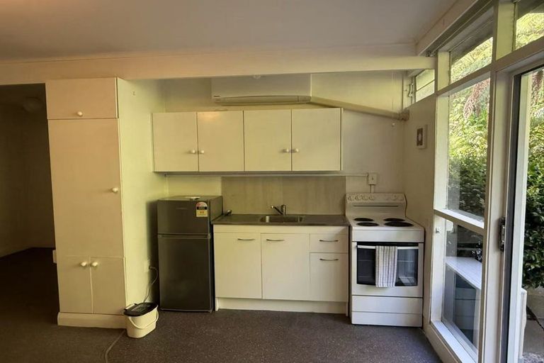Photo of property in Claybrook Apartments, 8/7 Claybrook Road, Parnell, Auckland, 1052