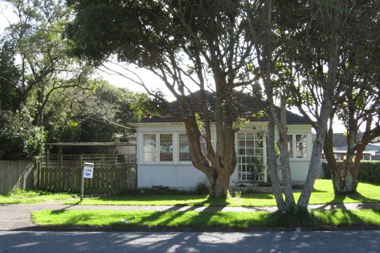 Photo of property in 119 Judd Crescent, Naenae, Lower Hutt, 5011