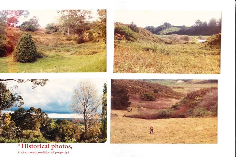 Photo of property in 264 Bellevue Road, Bellevue, Tauranga, 3110