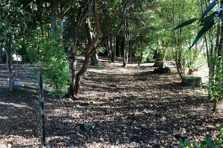 Photo of property in 19 Ameer Street, Pleasant Point, 7903