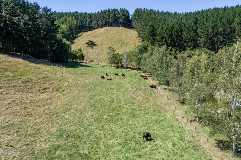 Photo of property in 237 Shanley Road, Crownthorpe, Hastings, 4179