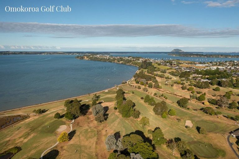 Photo of property in 8d Gane Place, Omokoroa, 3114