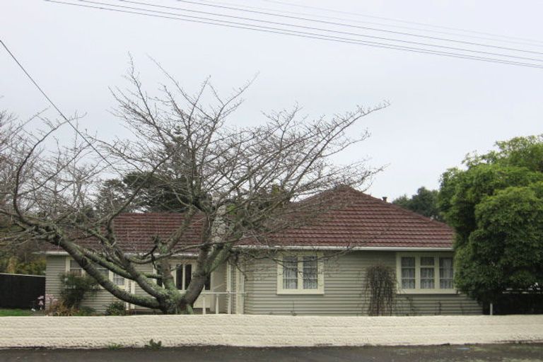 Photo of property in 57 Mako Mako Road, Levin, 5510