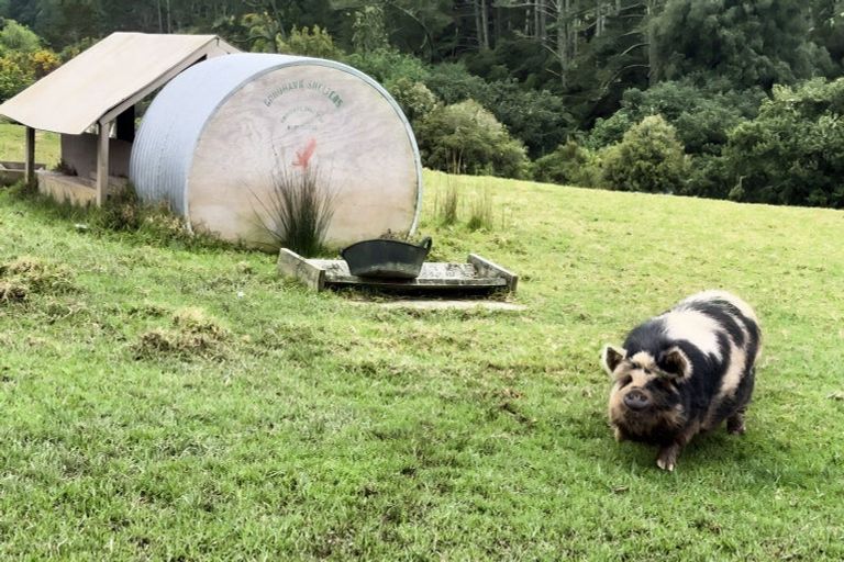 Photo of property in 426 Whitford Road, Whitford, Howick, 2571