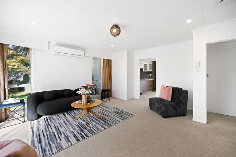 Photo of property in 17 Lancaster Street, Dinsdale, Hamilton, 3204