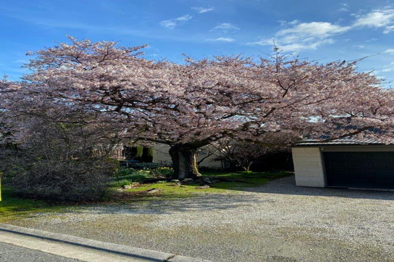 Photo of property in 8 Kennedy Crescent, Wanaka, 9305