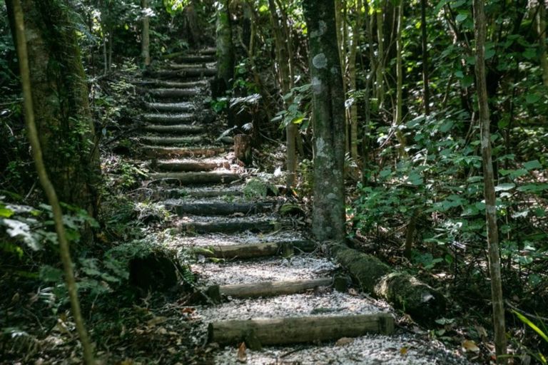 Photo of property in 8 Windridge Lane, Aongatete, Katikati, 3181