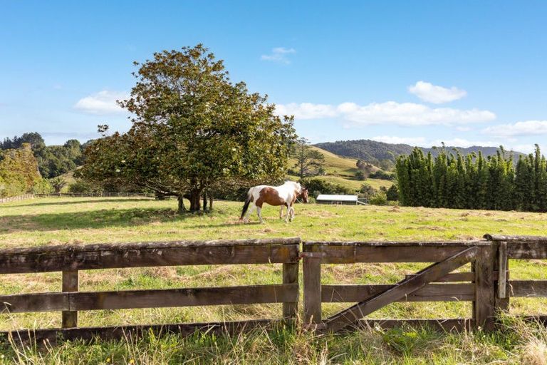 Photo of property in 172 Old Kaipara Road, Kaipara Flats, Warkworth, 0981