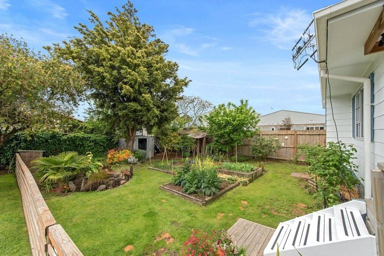 Photo of property in 62a Alison Street, Hamilton Lake, Hamilton, 3204