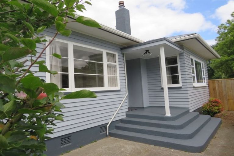 Photo of property in 21 Edinburgh Street, Levin, 5510