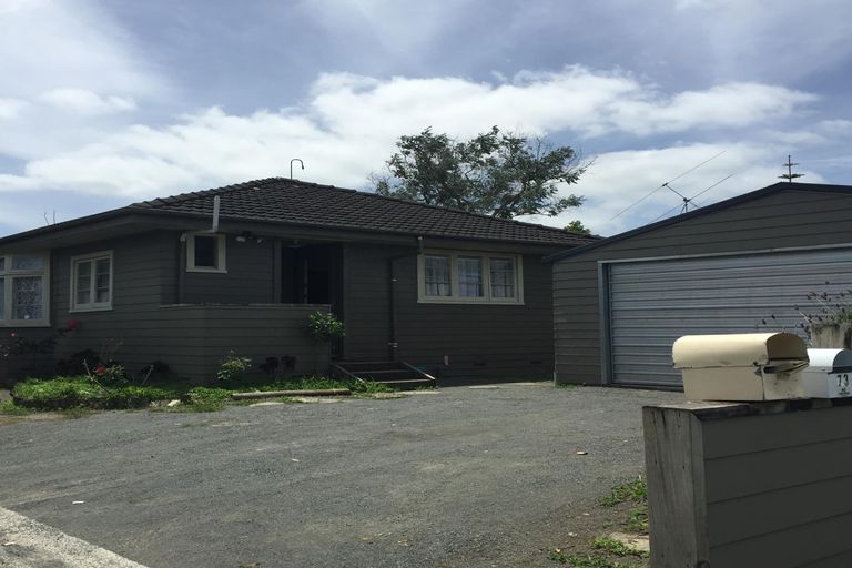 Photo of property in 73 Claude Street, Fairfield, Hamilton, 3214