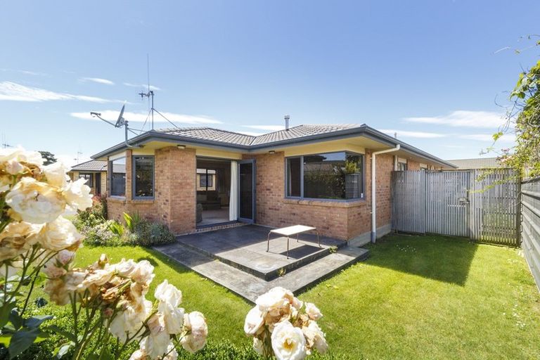 Photo of property in 10 Elly Court, Feilding, 4702