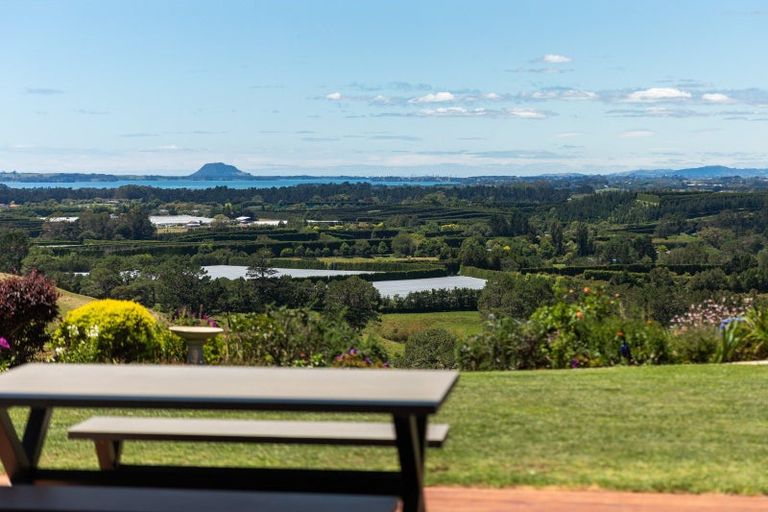 Photo of property in 265 Hot Springs Road, Tahawai, Katikati, 3178