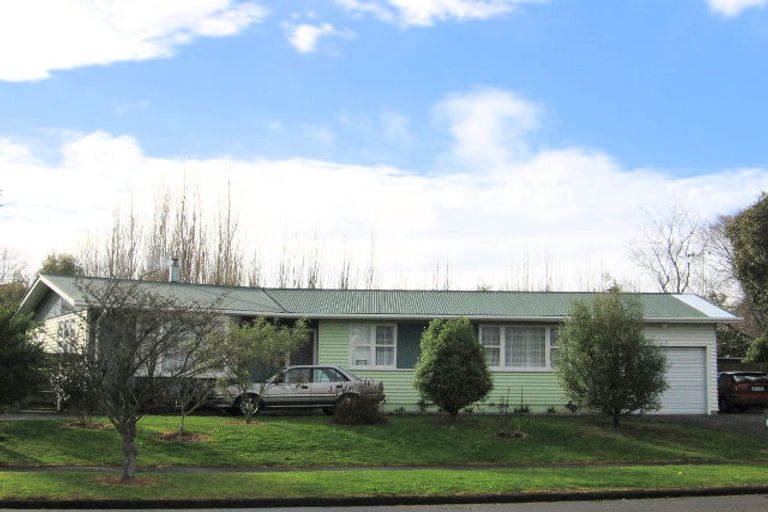 Photo of property in 10 Patea Place, Terrace End, Palmerston North, 4410