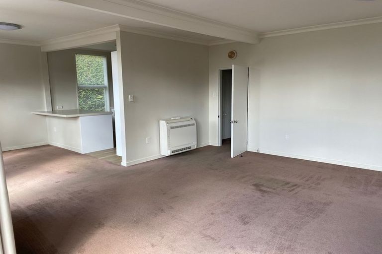 Photo of property in 4 Airedale Street, Dunedin Central, Dunedin, 9016