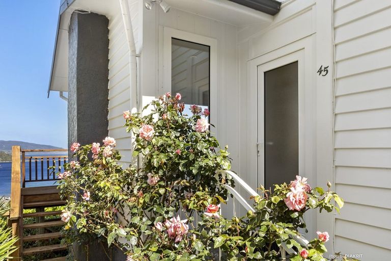 Photo of property in 45 Carlton Street, Melrose, Wellington, 6023