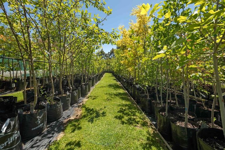 Photo of property in 555 Aubrey Road, Wanaka, 9305