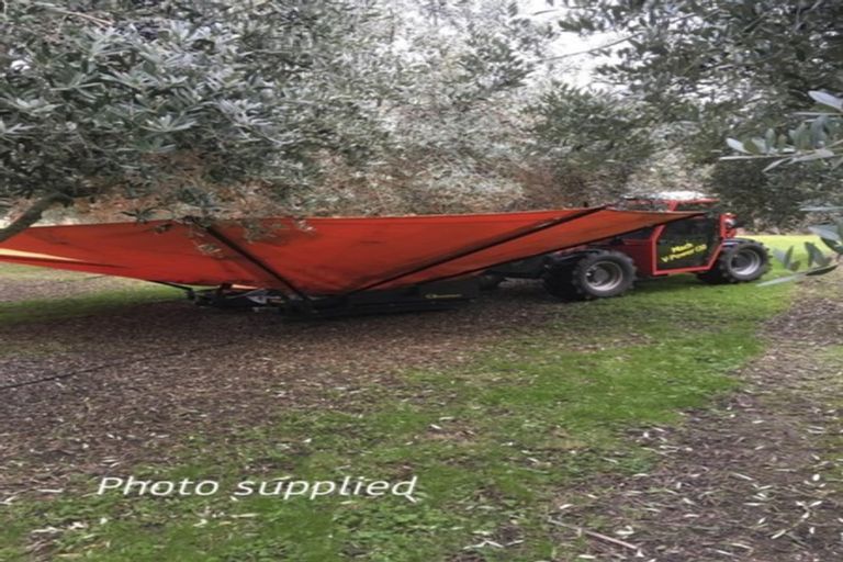 Photo of property in 22 Lethbridge Street, Feilding, 4702