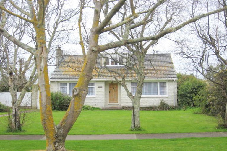 Photo of property in 48 Graham Street, Levin, 5510