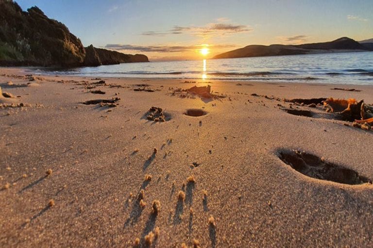 Photo of property in 354 Hokianga Harbour Drive, Omapere, Kaikohe, 0473