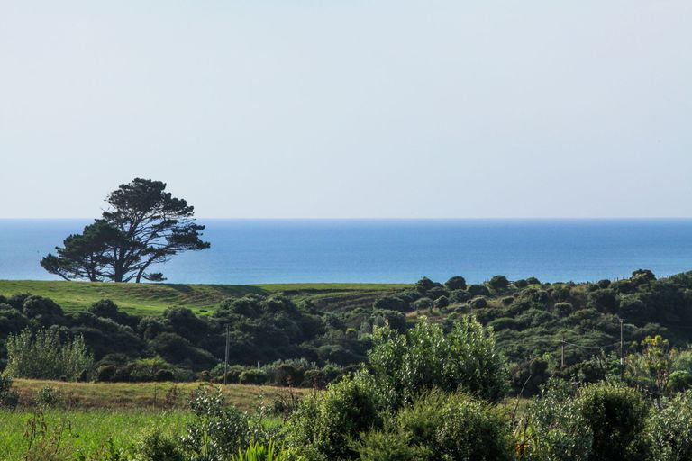 Photo of property in 65 Te Ahiawa Road, Raglan, 3297