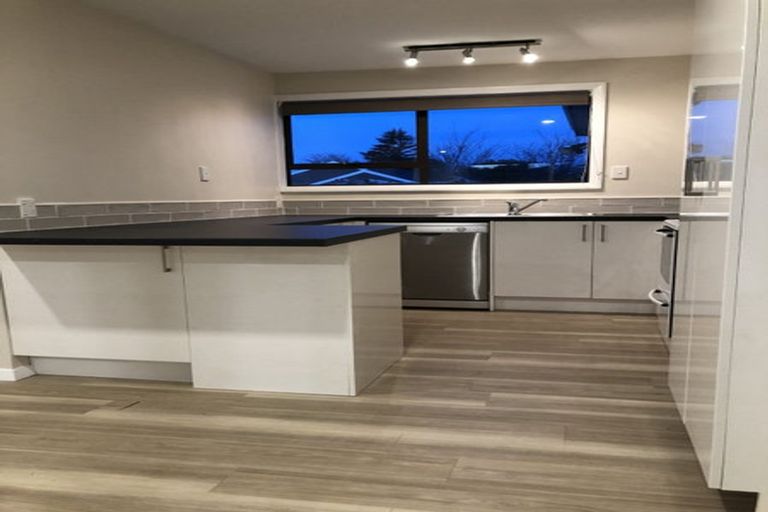 Photo of property in 45 Deepdale Street, Burnside, Christchurch, 8053