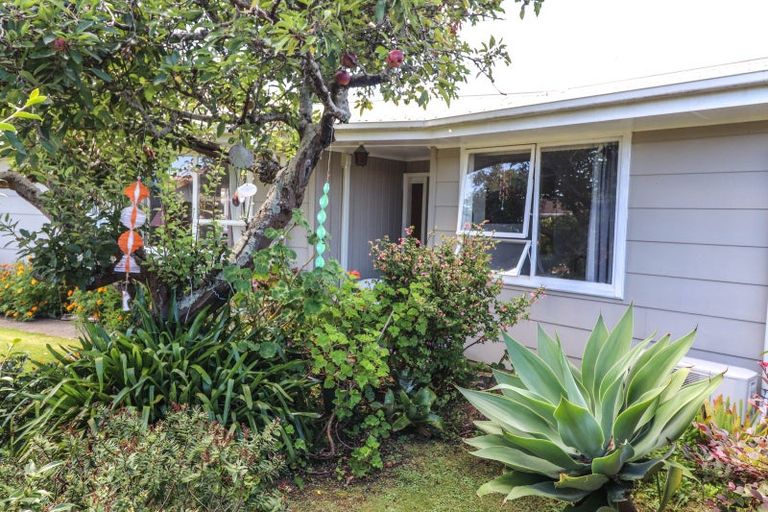 Photo of property in 405 Ensor Street, Thames, 3500