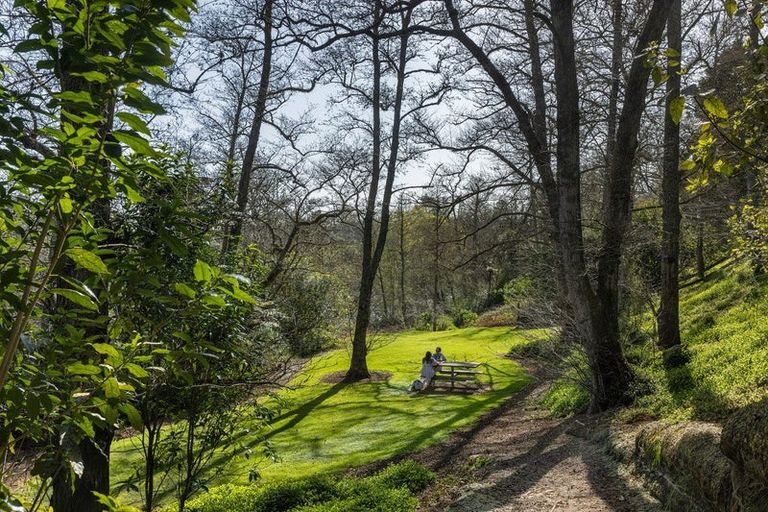 Photo of property in 45a Te Awa Lane, Tamahere, Hamilton, 3283