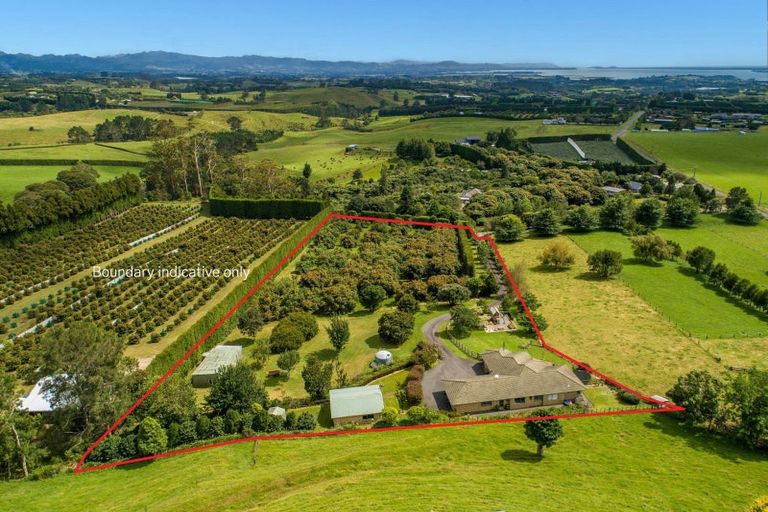 Photo of property in 480a Youngson Road, Whakamarama, 3179