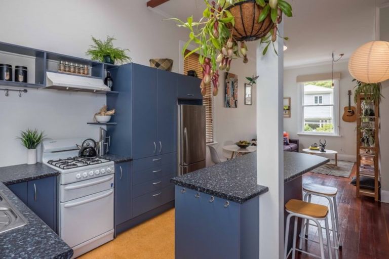 Photo of property in 46 Honiana Te Puni Street, Aro Valley, Wellington, 6021