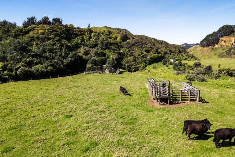 Photo of property in 4020 Mokau Road, Tongaporutu, Urenui, 4376