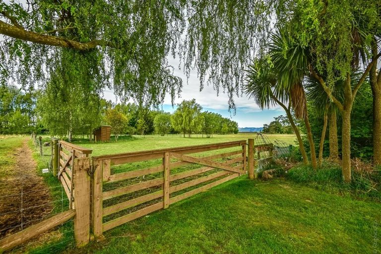 Photo of property in 81 Wolfes Road, Springston, Christchurch, 7674