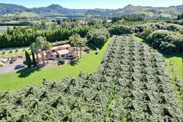 Photo of property in 6 Woodland Road, Johnsonville, Wellington, 6037