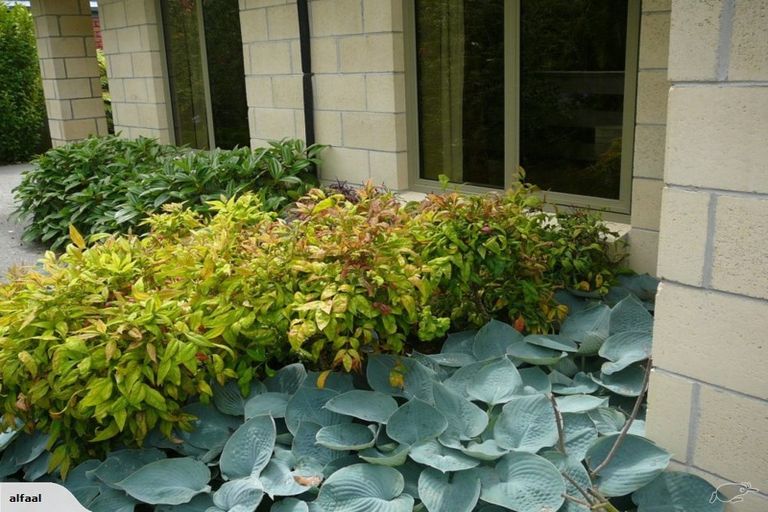 Photo of property in 6 Seclusion Lane, Parklands, Christchurch, 8083