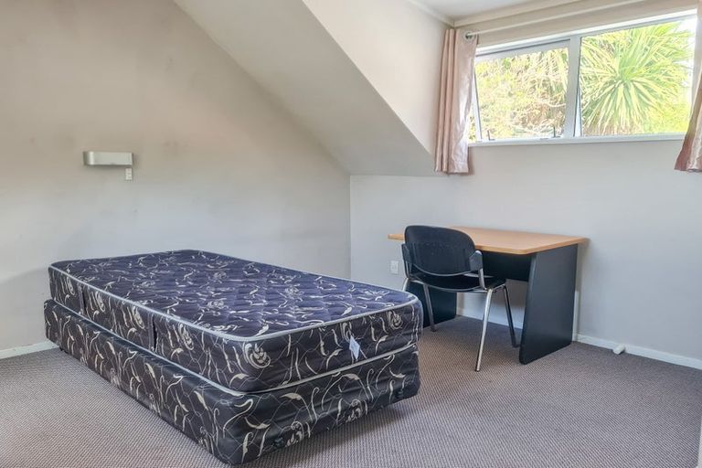 Photo of property in 119 North Road, North East Valley, Dunedin, 9010