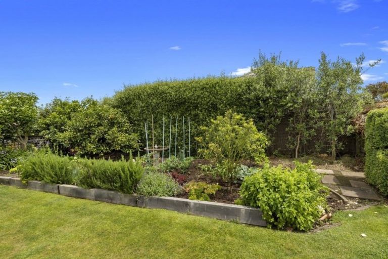 Photo of property in 20 Stirling Drive, Morrinsville, 3300