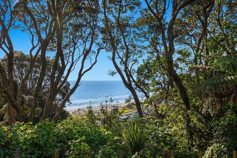 Photo of property in 59 Pohutukawa Drive, Waiotahe, Opotiki, 3198