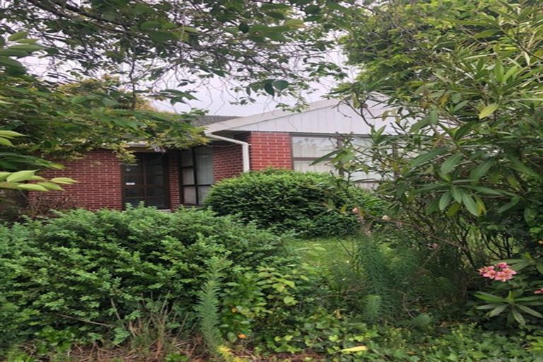 Photo of property in 55 Springbank Street, Bryndwr, Christchurch, 8053